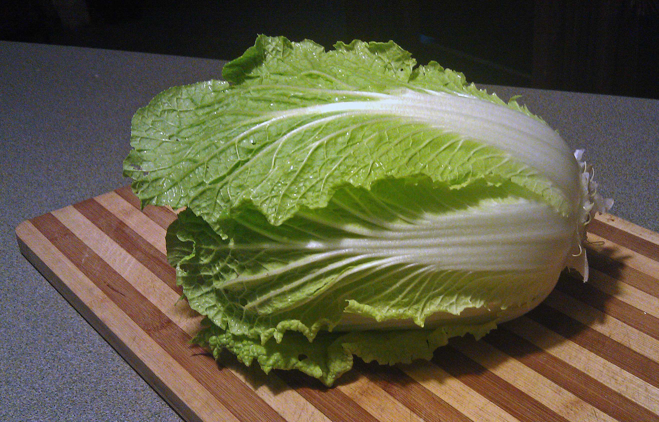 napa-cabbage-and-spring-rolls-centex-cooks