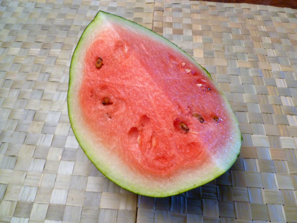 Sugar Baby Melon