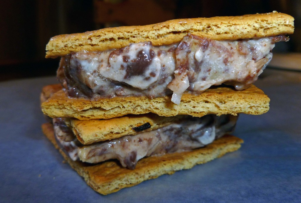 All Mixed Up Ice Cream Sandwich