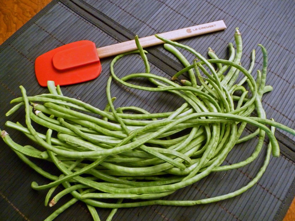 Italian Green Beans