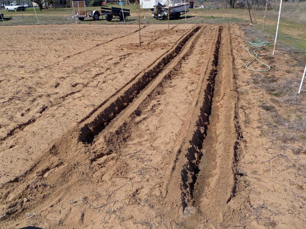 Rows Ready for Planting Potatoes 04