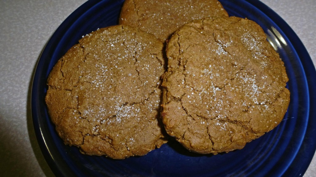 Joe Frogger Molasses Cookies