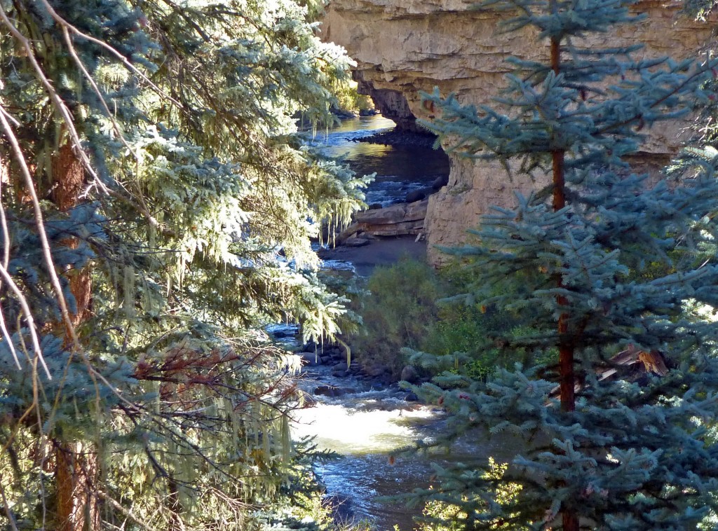 Piedra River Trail 3
