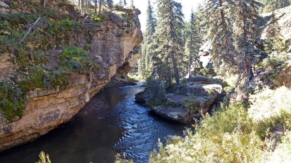 Piedra River Trail 4