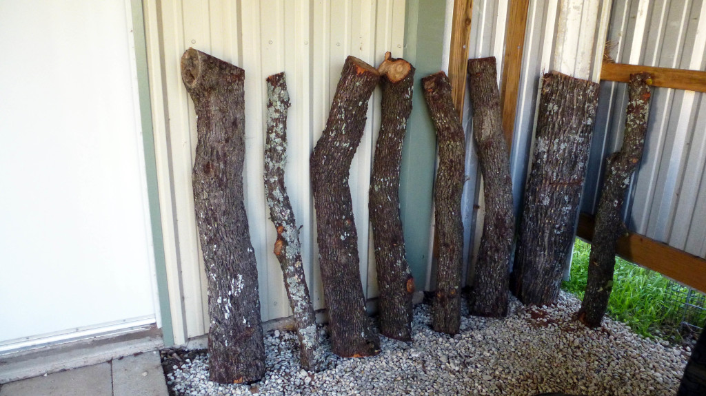 Mushroom Logs