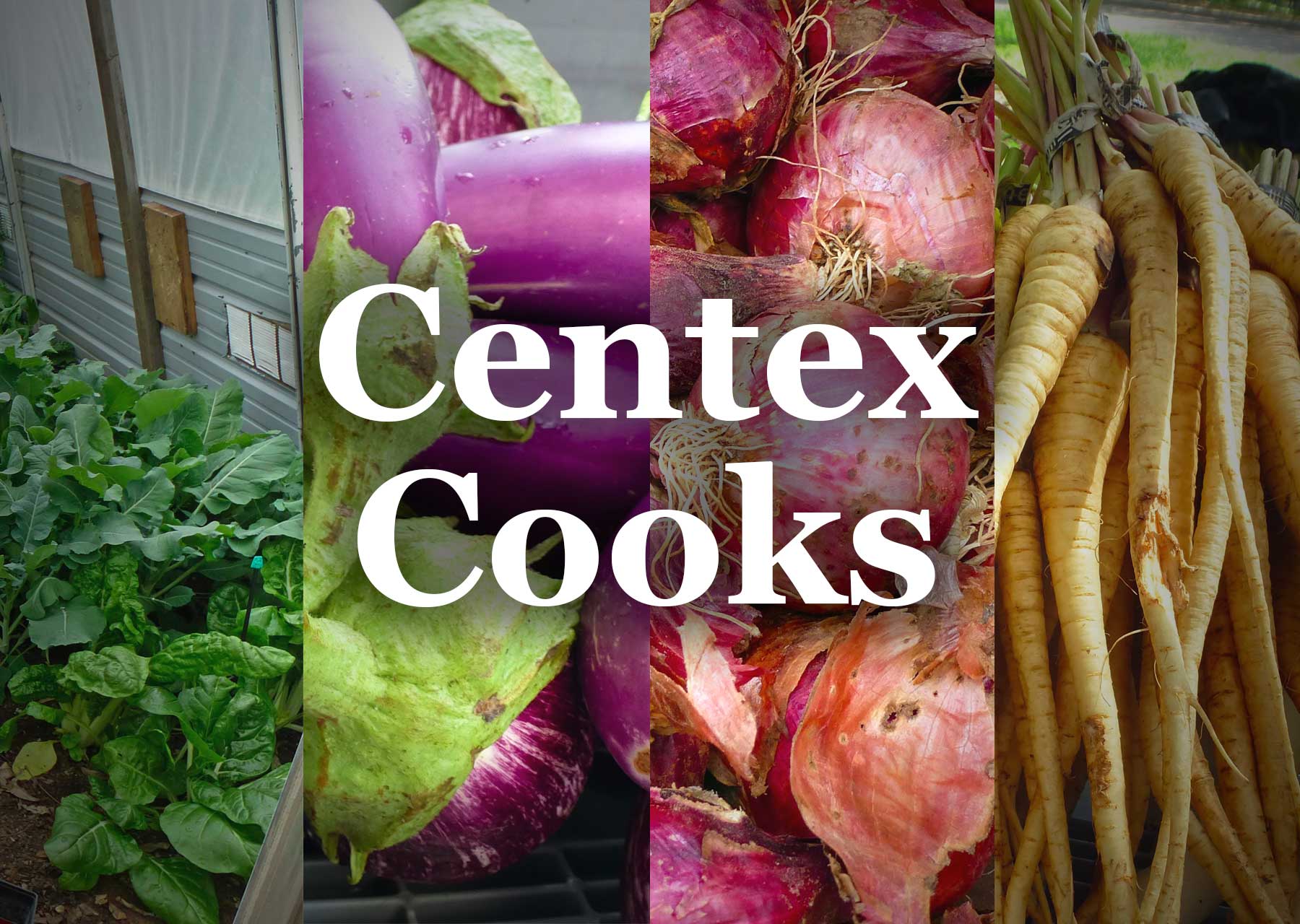 Centex Cooks