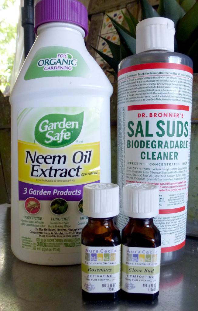 Insect Spray for Organic Gardening